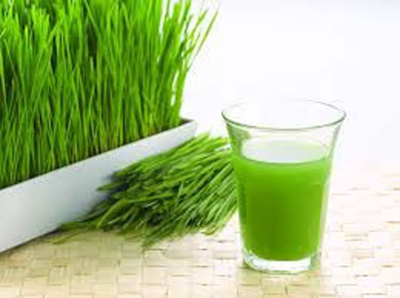 wheatgrass